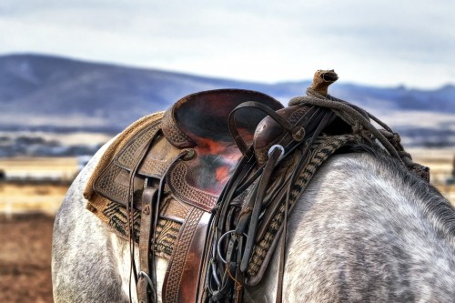 saddle-419745_1920